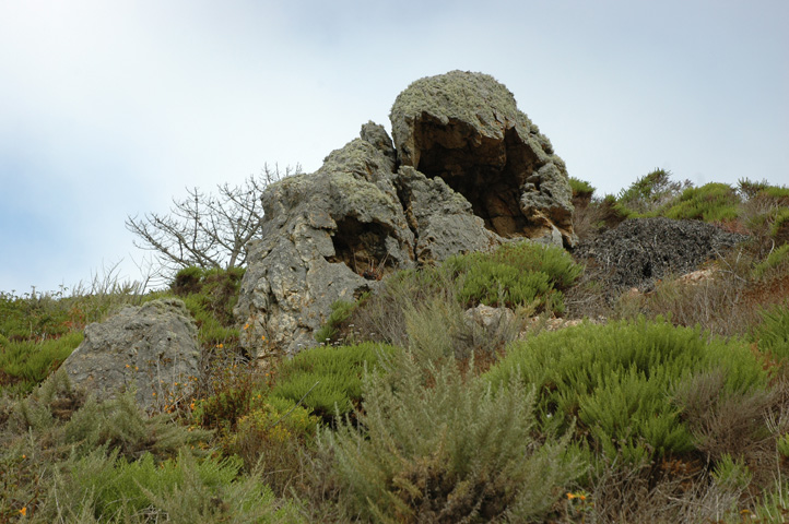 Point Lobos 043.jpg